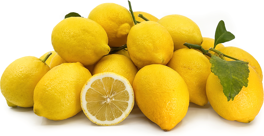 Amalfi Coast Lemons picture