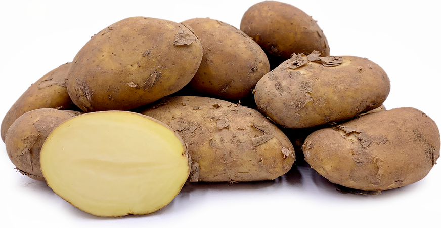Jersey Royal  Potatoes picture