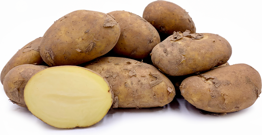 jersey royal new potatoes