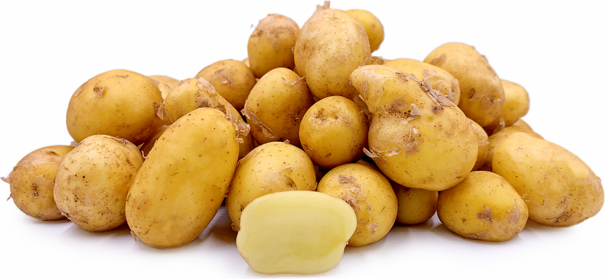 Ile De Re Potatoes picture