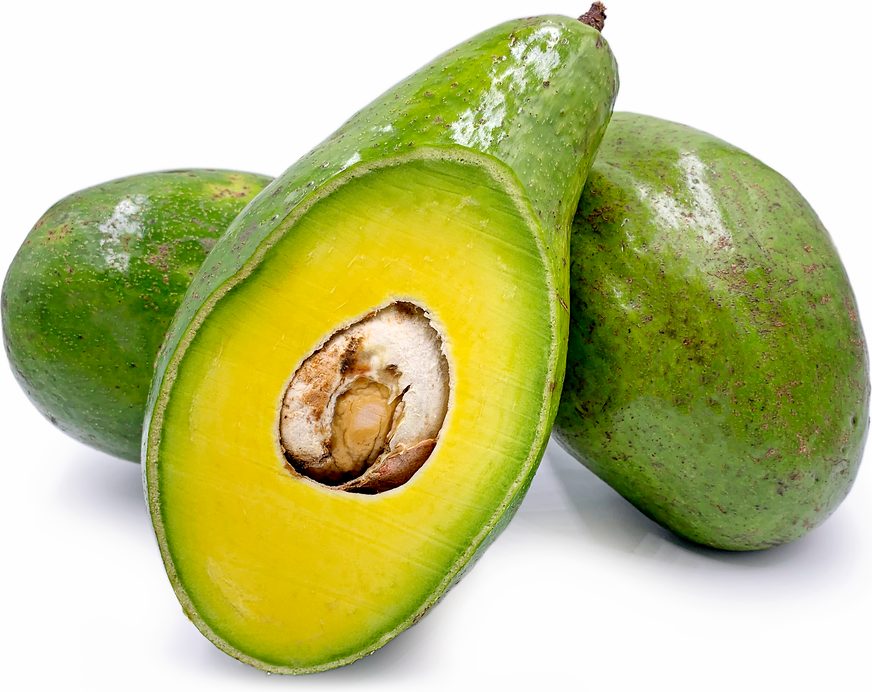 Ghanaian Avocados picture