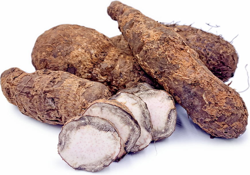 West African Coco Yams picture