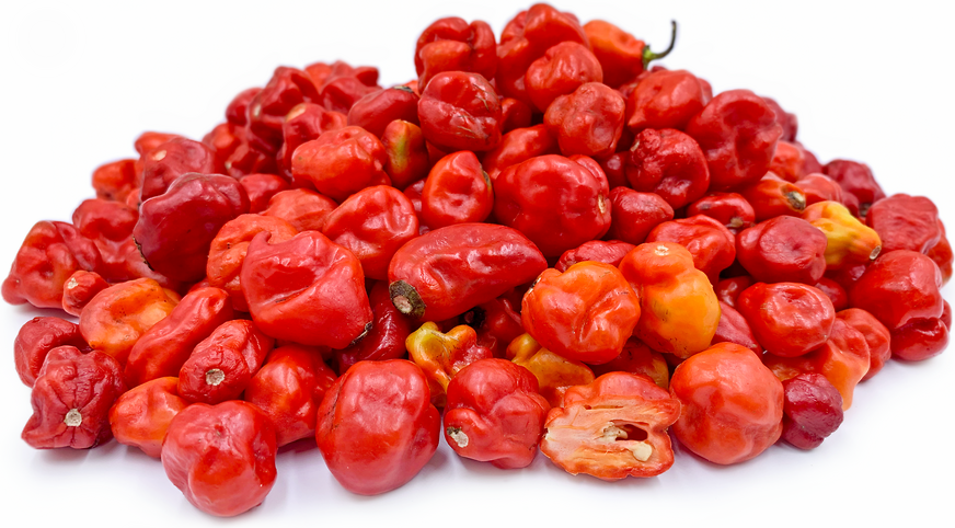 Red Kpakpo Shito Chile Peppers picture