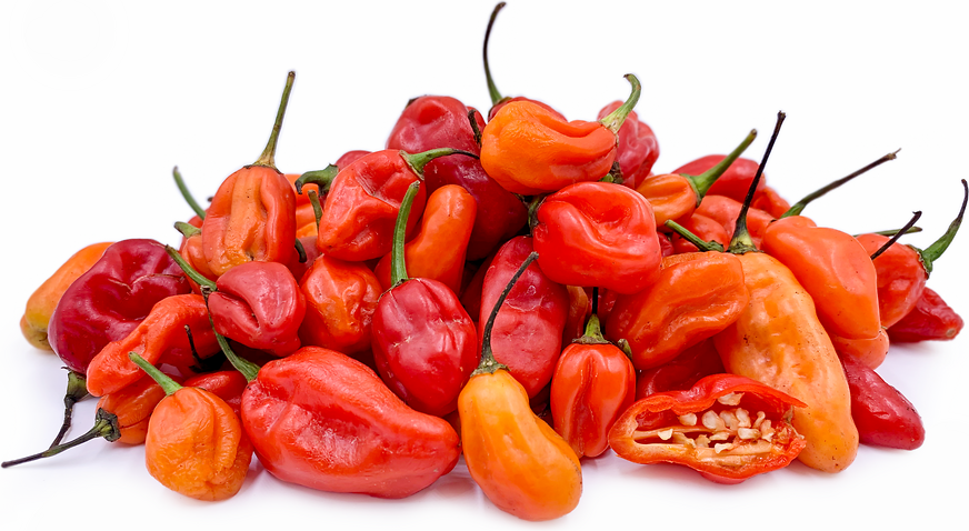 West African Bonnet Chile Peppers picture