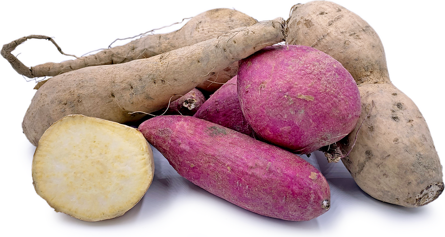 Amorgos Island Sweet Potatoes picture