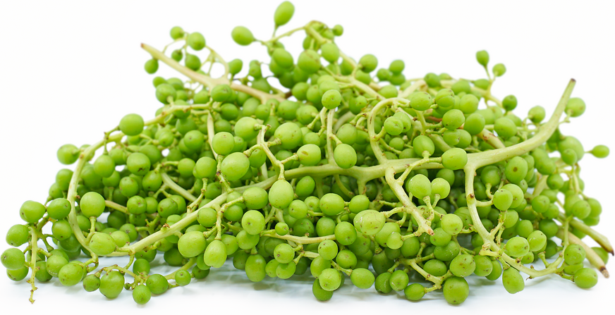 Unripe Grapes picture