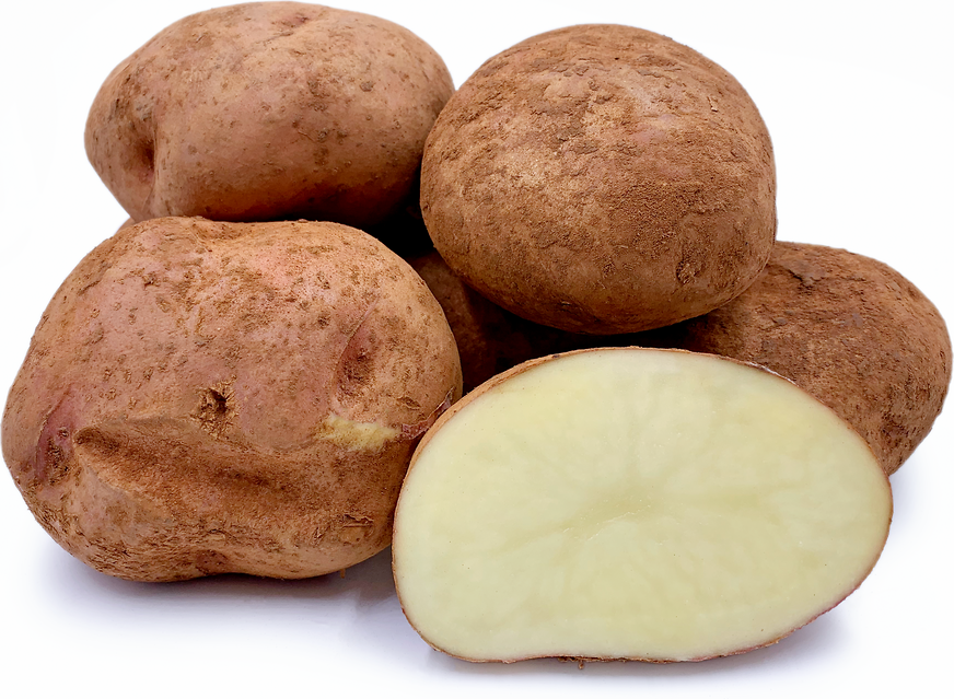 Candrau Potatoes picture