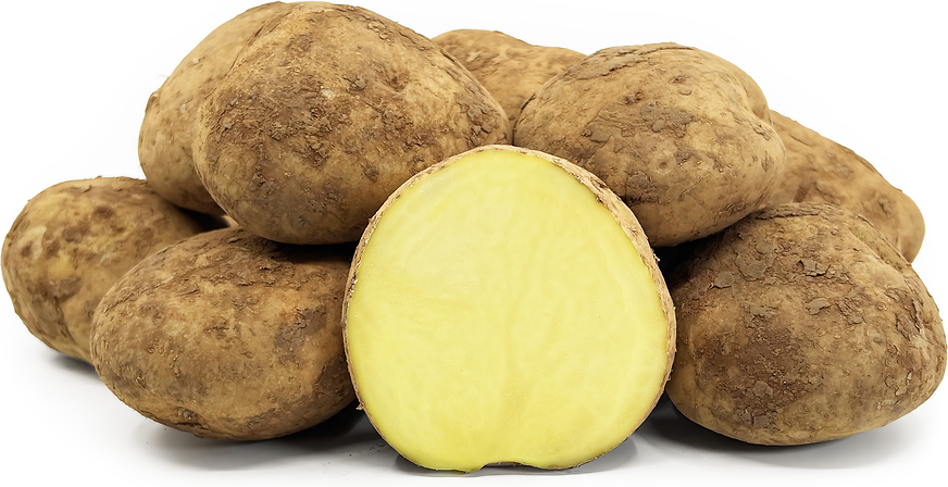 Amarilis Potatoes picture