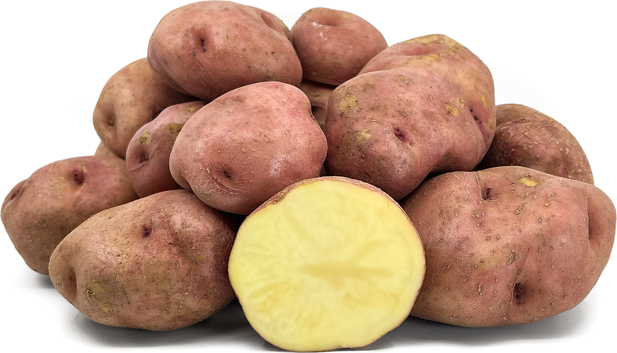 Canchan Potatoes picture