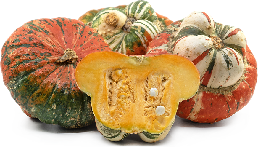 Turban Squash picture