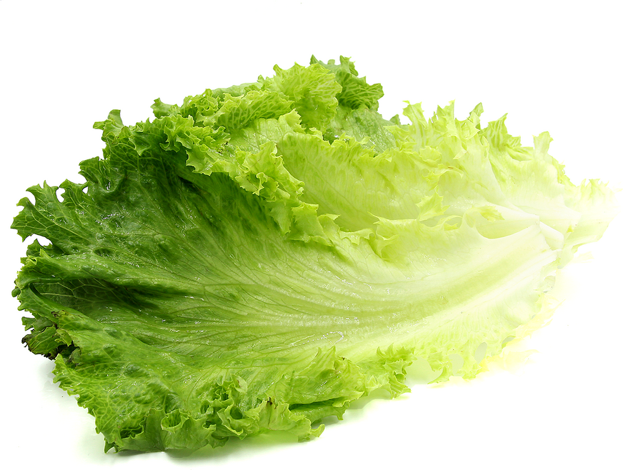 Green Leaf Lettuce Filets picture