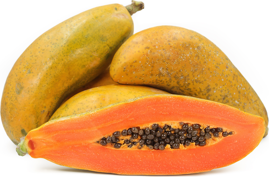 Papaya Andina picture