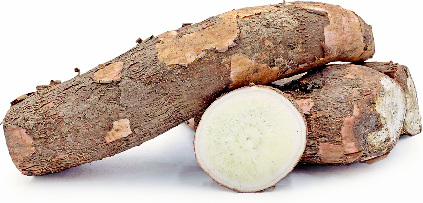 Roots information. Корень Юкки. Корень Юкка еда. Yucca root. Корень Юкка картофель.