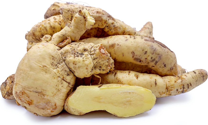 Arracacha Root picture