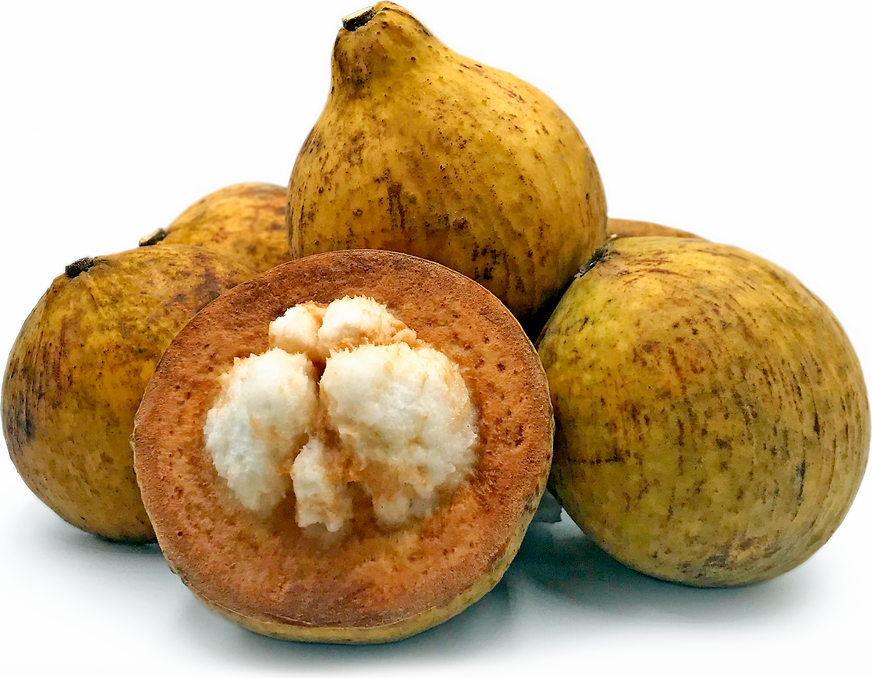 Wild Mangosteen picture