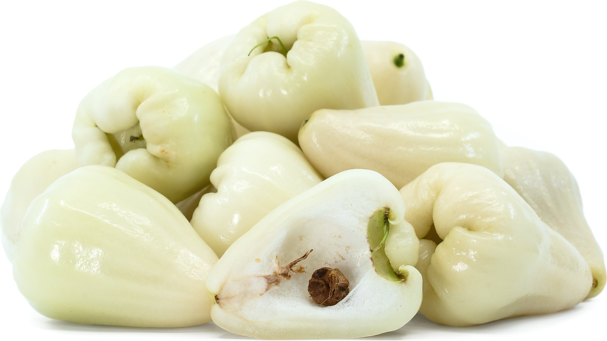 White Jambu picture