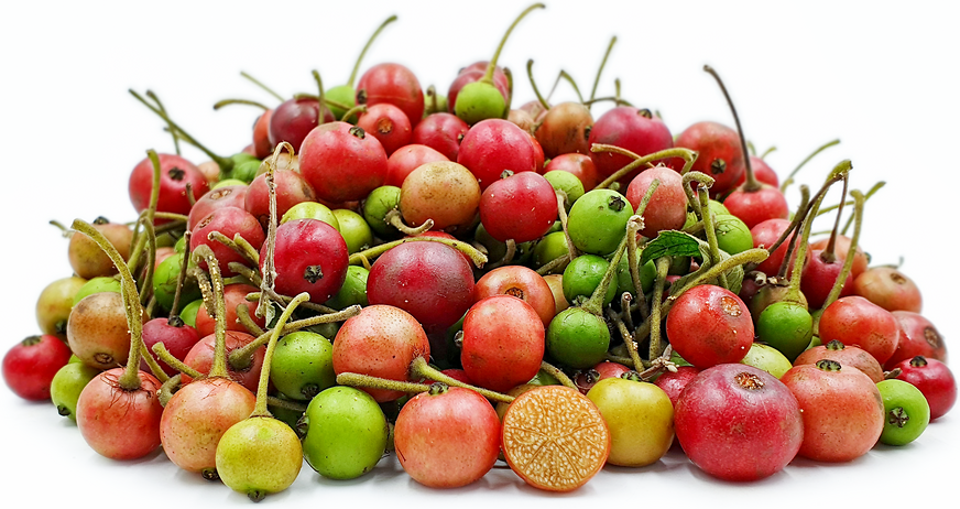 Jamaica Cherries picture