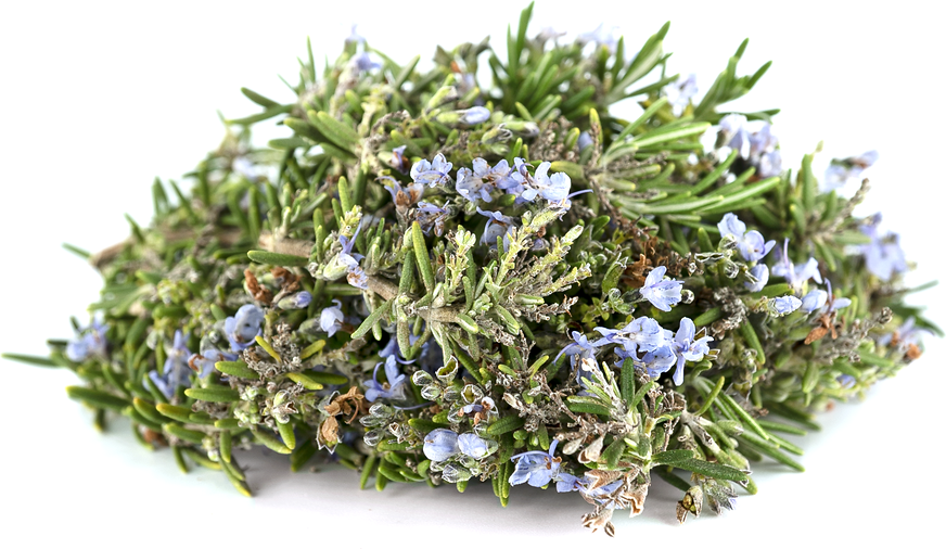 Fresh Rosemary Flowers picture