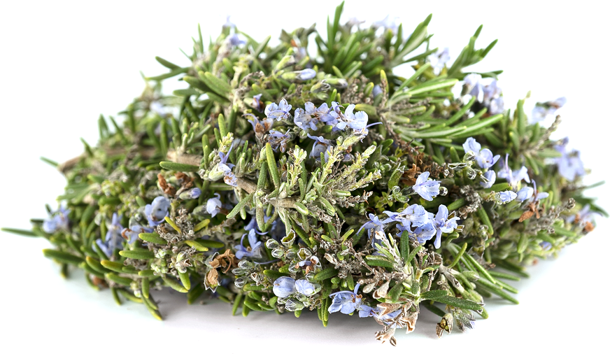 Rosemary Flowers picture