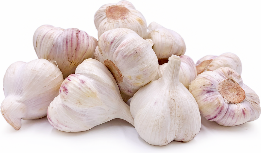 Aomori Wet Garlic picture