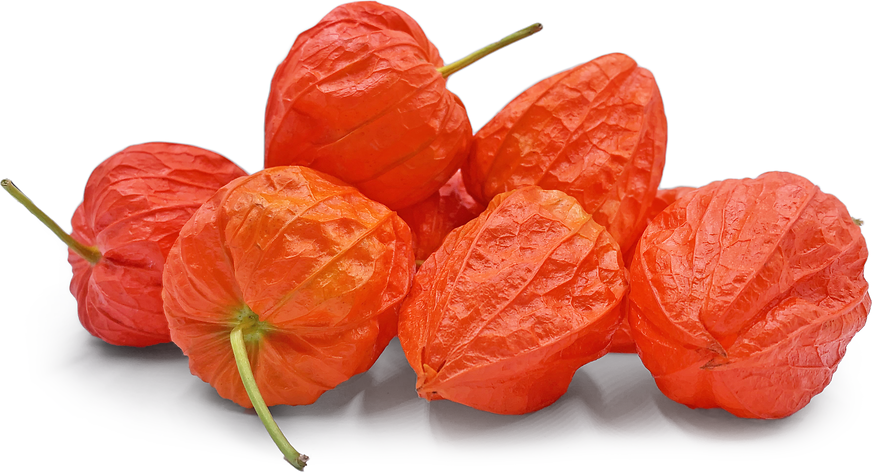 Chinese Lantern Flowers picture