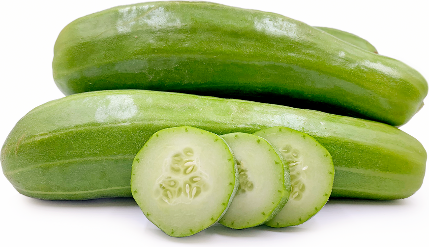 Oriental Pickling Cucumber Melons picture