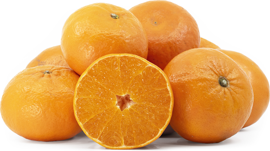 Hamasaki Oranges picture