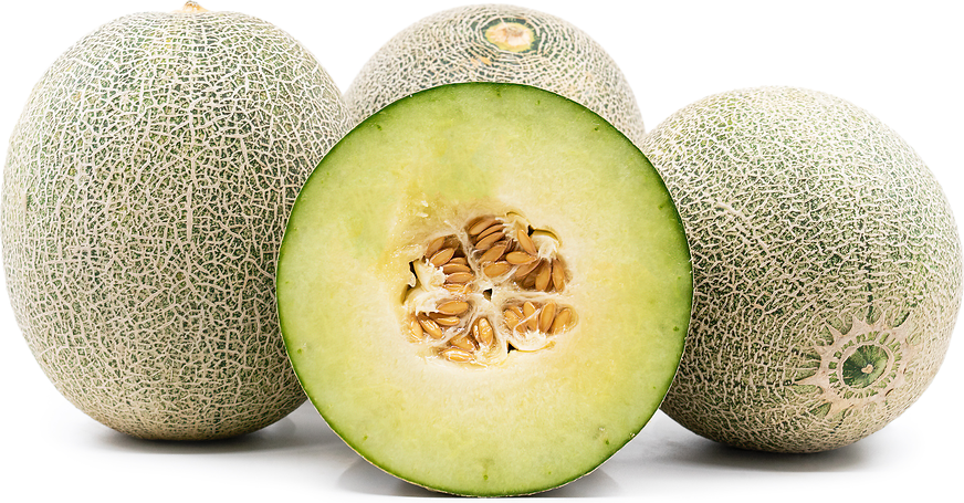 Takami Melon picture