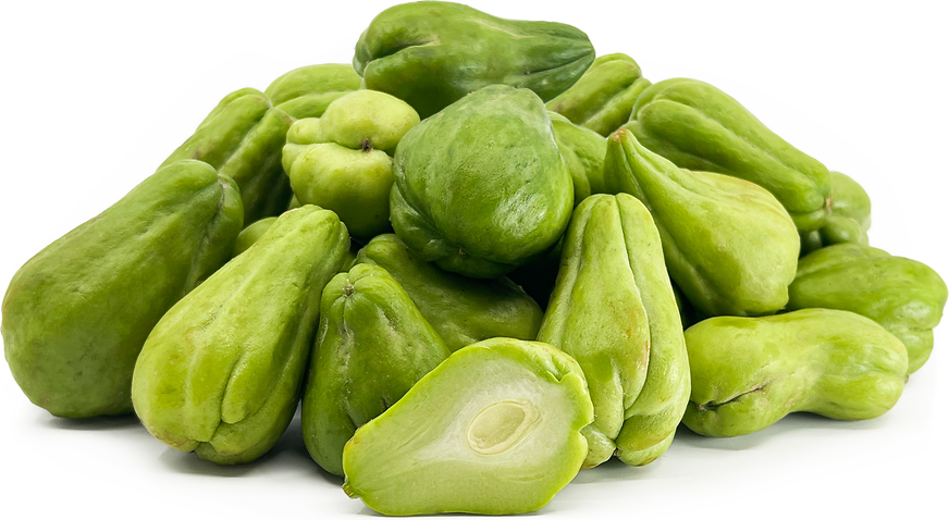 Tropical Chayote Squash picture