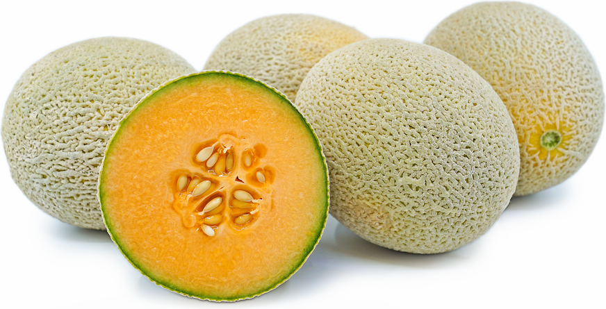 Cateloupe Melon picture