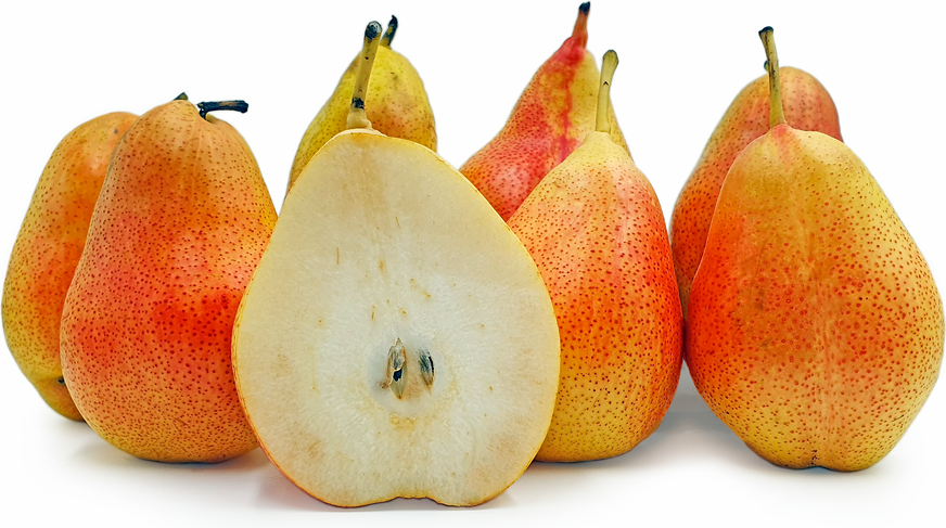 Forelle Pear