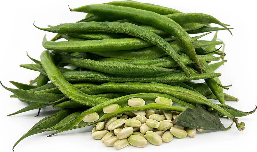 Valor Shelling Beans picture