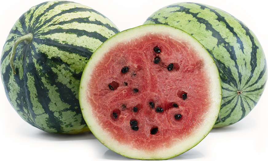 Watermelon Information and Facts