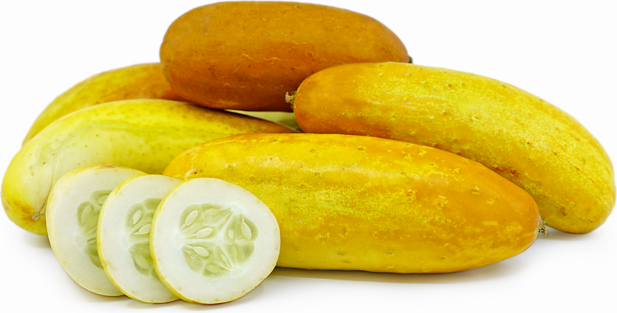 Poona Kheera Cucumbers picture