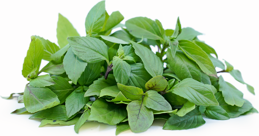 Cinnamon Basil picture