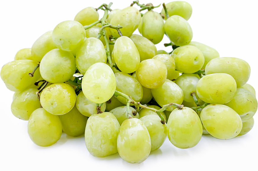 Sugarone Grapes picture