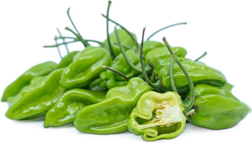 Green Habanero Chile Pepper picture