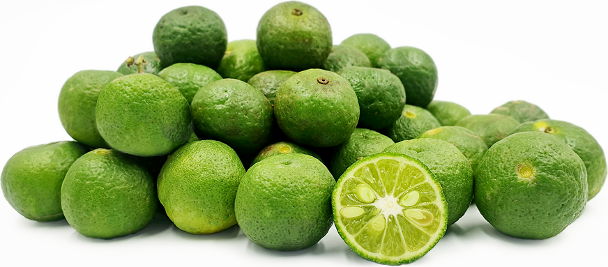 Omura Limes picture