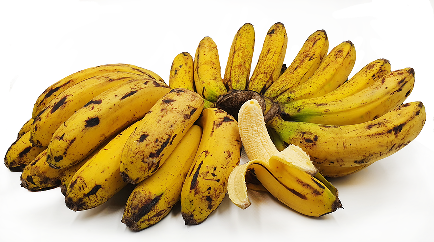 Pisang Berangan Bananas picture