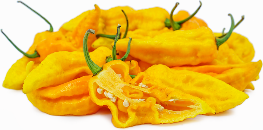 Yellow Bhuy Chile Pepper picture