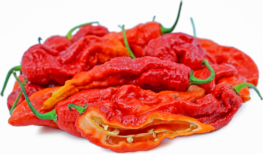 Red Bhut Chile Pepper picture