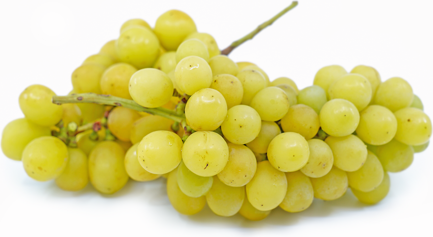 Shine Muscat Grapes picture