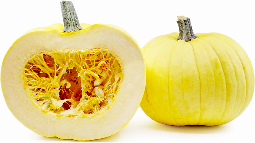 Mellow Yellow Pumpkins picture