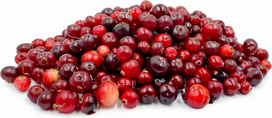 Siberian Swamp Cranberries picture