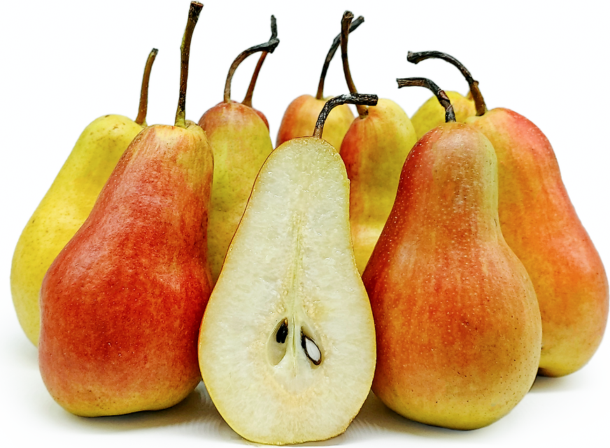 Talgar Pears picture