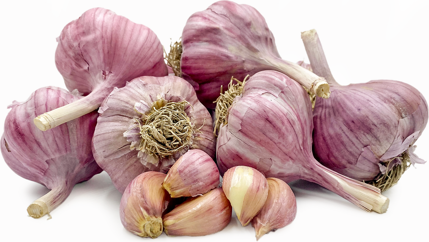 Kazakh Garlic picture