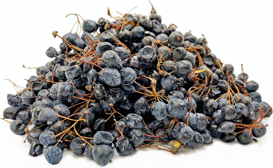 Kashgar Barberry Berries picture