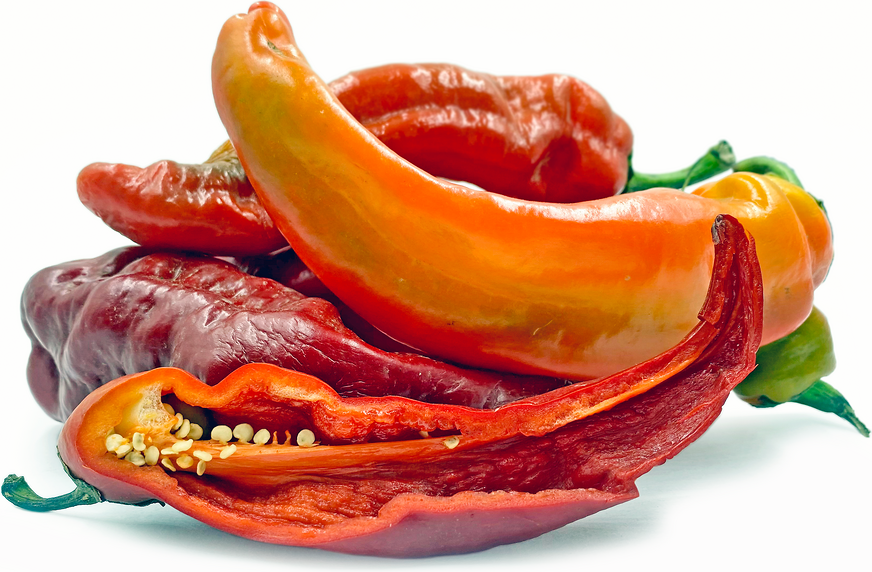 Red Thunder Chile Peppers picture