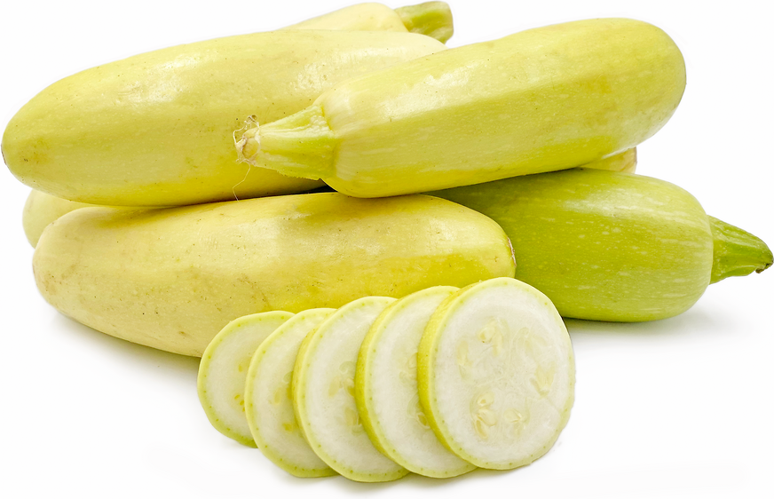 Russian Yellow  Squash picture