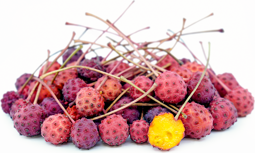 Kousa Dogwood Berries picture